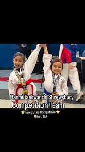 Image result for New Milton Taekwondo Club