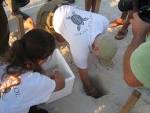 Trained volunteers have been vitally important to the success of the sea - via Daymix