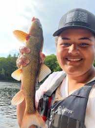 Image result for Catostomus commersonii