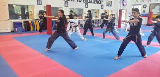 Image result for Dacula Martial Arts Dojo