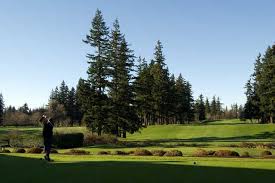 Image result for Bellingham Golf Club