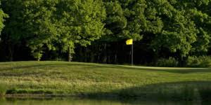 Image result for Thames Ditton & Esher Golf Club