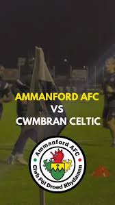 Image result for Cwmbran Celtic F C
