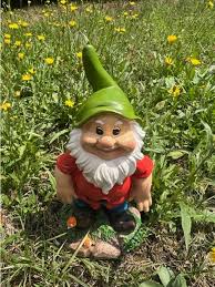 Image result for Gartenzwerg