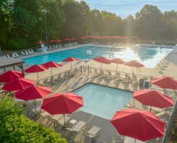 Image result for Buntingford Swimming Club