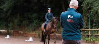 Image result for British Horse Society
