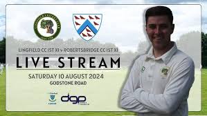 Image result for Lingfield Cricket Club