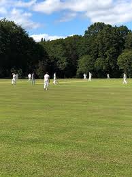 Image result for Blagdon Cricket Club