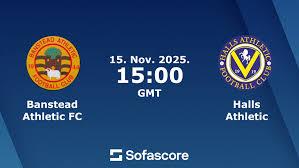 Image result for Banstead Athletic Fc