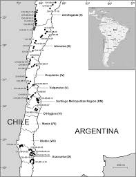 Attēlu rezultāti vaicājumam “Dianema nivale sessile”