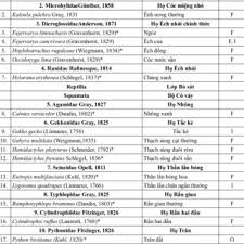 Attēlu rezultāti vaicājumam “Collaria rubens spores”