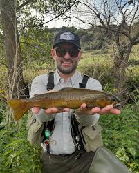 Image result for Salmo macrostigma