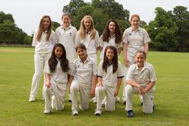 Image result for Abbots Langley Cricket Club