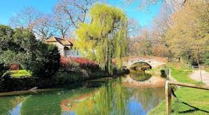 Image result for Runnymede Ramblers