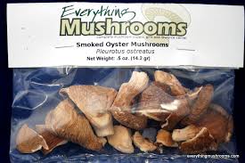 Attēlu rezultāti vaicājumam “Pleurotus ostreatus”