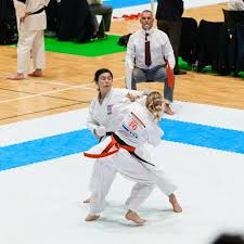Image result for Nottingham Sankukai Karate