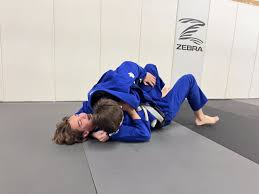 Image result for Unity School Of Jiu Jitsu