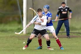 Image result for Lochcarron Camanachd