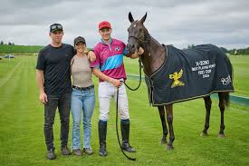 Image result for Cowdray Park Polo Club