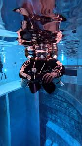 Image result for innerspace divers