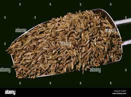 Image result for Kümmel