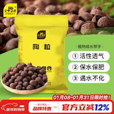 Image result for 春粒