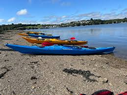 Image result for Tamar Canoe Association