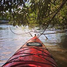 Image result for Surrey Canoeist Group