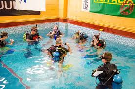 Image result for Diveline