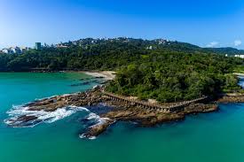 Image result for bombinhas