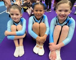 Image result for West Wight Trampoline Club