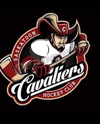 Image result for Poole Hockey Club