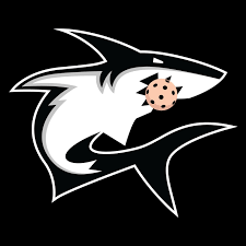 Image result for London Sharks Floorball Club