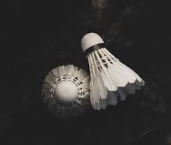 Image result for Cardinals Badminton Club
