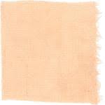 Attēlu rezultāti vaicājumam “Pycnoporellus alboluteus”