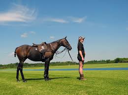 Image result for Kirtlington Park Polo Club