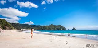 Image result for new chums beach