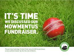 Image result for Ivybridge Cricket Club