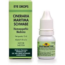 Image result for Cineraria maritima