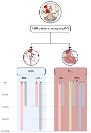 Image result for Hemonetics CCS