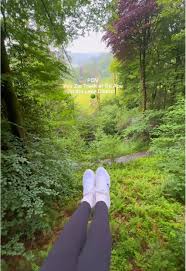 Image result for Go Ape! Grizedale