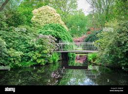 Image result for Arboretum Trompenburg