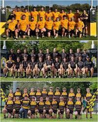 Image result for Winchester Rugby Football Club Ltd