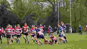 Image result for Haslemere Community Rugby Club