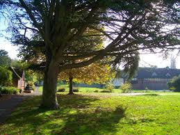 Image result for Brightwell Bowling Club (Farnham)