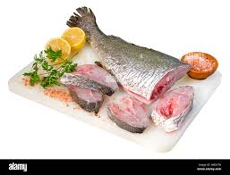 Image result for Umbrina cirrosa