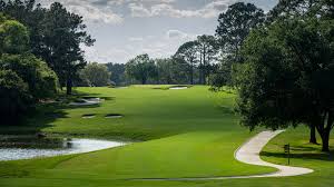 Image result for Southwood Golf Club