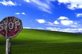 Image result for windows xp fight club