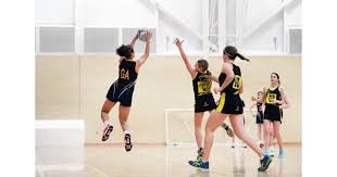 Image result for Raychem Netball Club