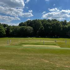 Image result for Denby Cc